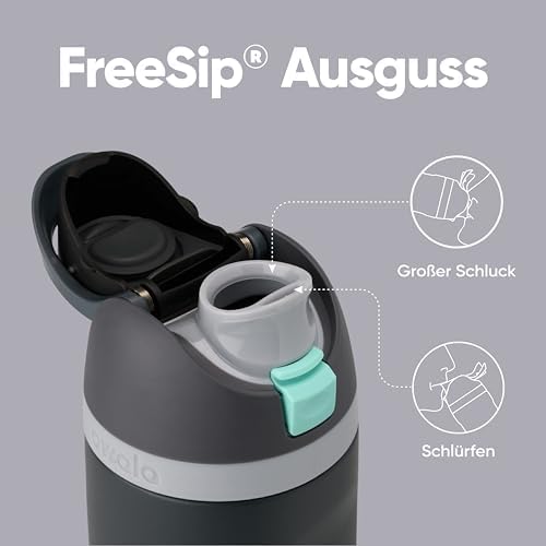 Owala FreeSip 710 ml Edelstahl Trinkflasche mit Strohhalm – BPA-frei für Sport, Fitness und Reisen, Foggy Tide