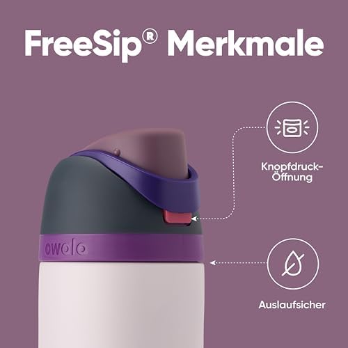 Owala FreeSip 710 ml Edelstahl Trinkflasche mit Strohhalm – BPA-frei für Sport, Fitness und Reisen, Foggy Tide